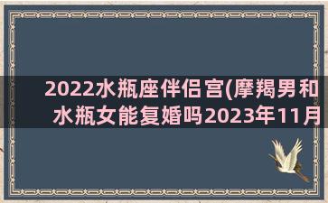 2022水瓶座伴侣宫(摩羯男和水瓶女能复婚吗2023年11月)