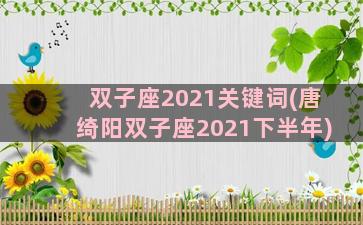 双子座2021关键词(唐绮阳双子座2021下半年)