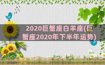 2020巨蟹座白羊座(巨蟹座2020年下半年运势)