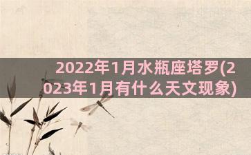 2022年1月水瓶座塔罗(2023年1月有什么天文现象)