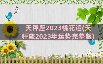 天秤座2023桃花运(天秤座2023年运势完整版)
