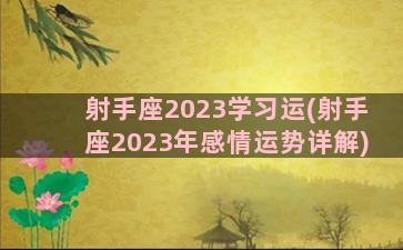 射手座2023学习运(射手座2023年感情运势详解)