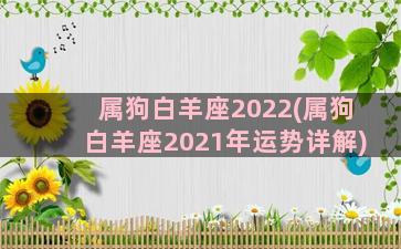 属狗白羊座2022(属狗白羊座2021年运势详解)