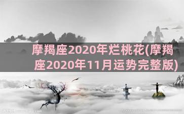 摩羯座2020年烂桃花(摩羯座2020年11月运势完整版)