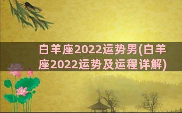白羊座2022运势男(白羊座2022运势及运程详解)